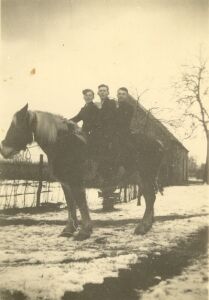 De drie kammeraden op het paard