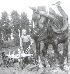 Albert Cauwels test de nieuwe aardappel rooier