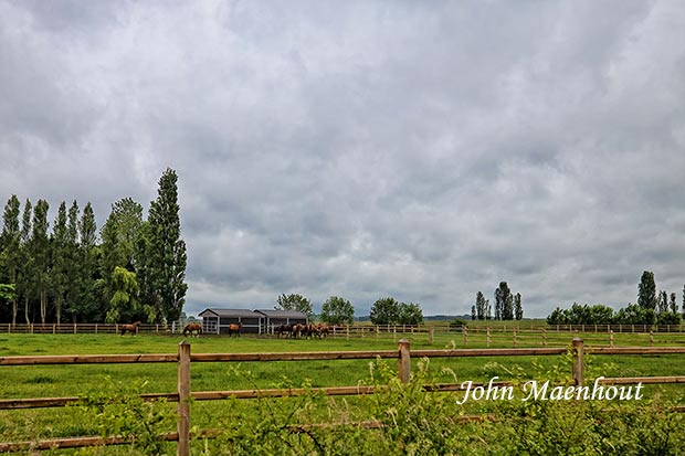 Adegem Achtergrondfoto S 2022