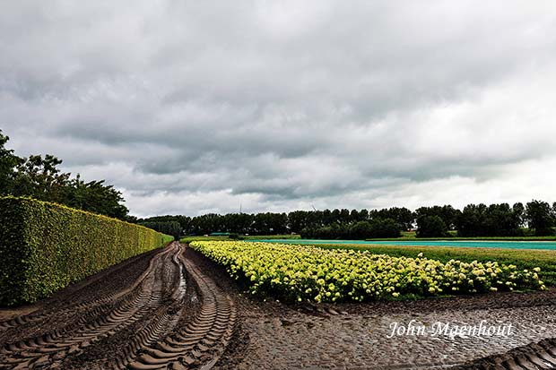 Adegem - Oost(West)eindeke