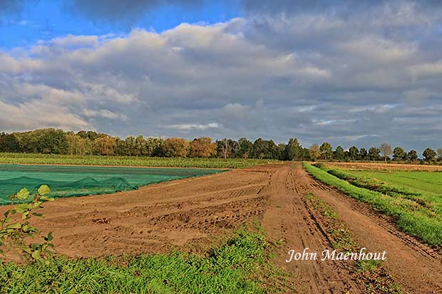 Adegem - Onderdijksewegel