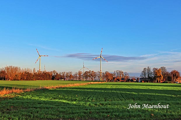 Adegem - de windmolens vanuit het Broekelken