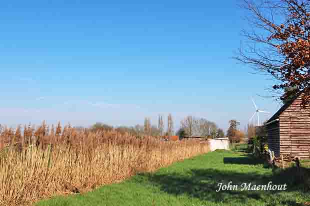 Adegem - Harlingerhof