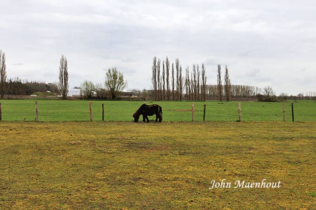 Adegem - Op den Akker