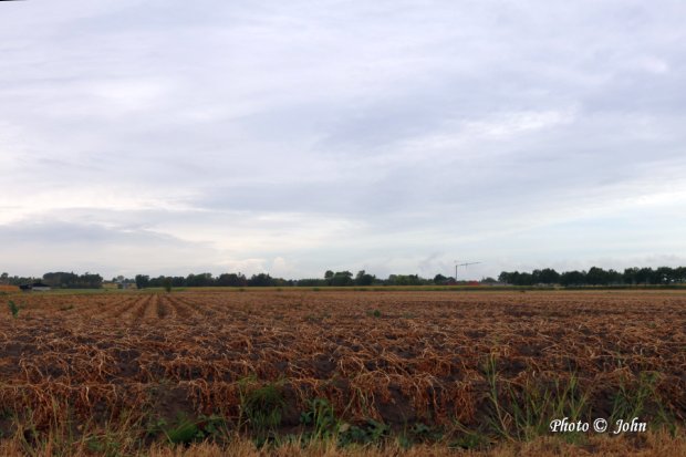 Adegem - Plassendale