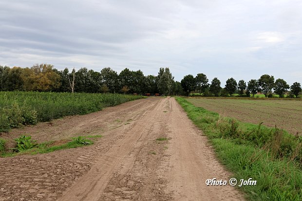 Adegem - Aardeweg