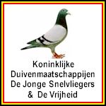 duivenmaatschappijen