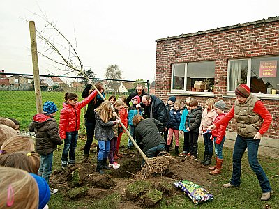 DERDE LEERJAAR VAN DE GBS DE KRUIPUIT PLANTE ZIJN APPELBOOM