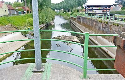 LAGE WATERSTAND BRENGT AFVAL AAN DE OPPERVLAKTE