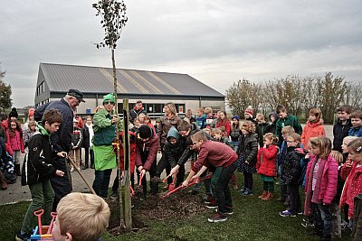 GBS DE KRUIPUIT PLANTE ZIJN PERENBOOM