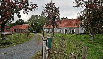 HYBOMAVERKAVELING IN DE KALLESTRAAT GOEDGEKEURD