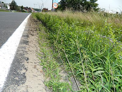 MOEILIJKE TOEKOMST VOOR DE GROENE VEILIGHEIDSZONE