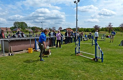 HOND EN MEESTRE STERK IN EIGEN INTERCLUBWEDSTRIJD