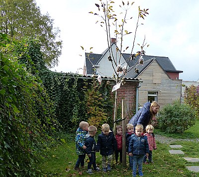 GBS DE KRUIPUIT WANDELDE ZIJN BOOMPAD IN