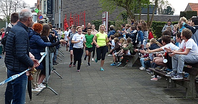 EEN BEETJE REGEN HIELD EERSTE PAPAVERRUN NIET TEGEN