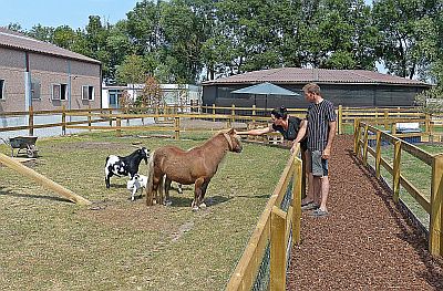 POP-UP KINDERBOERDERIJ "DEN DOORN" OPENDE HAAR DEUREN