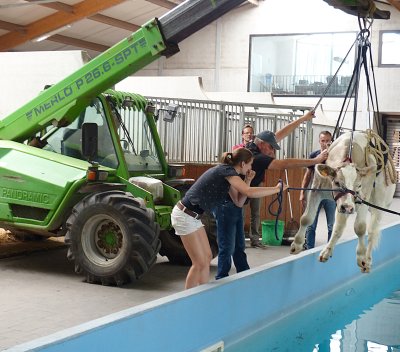 STOETERIJ HIDALGO ZORGT MET AQUATHERAPIE VOOR PRIMEUR IN VLAANDER