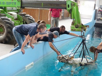 STOETERIJ HIDALGO ZORGT MET AQUATHERAPIE VOOR PRIMEUR IN VLAANDER