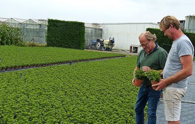 LAND- EN TUINBOUWBEDRIJVEN DIENDEN WARMTE-SCHADEDOSSIER IN