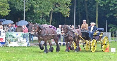 TWEEDE "MALDEGEM MENT VOOR EYE HOPE"