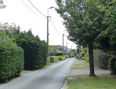 HOGE VERWACHTINGEN IN DE WEIDE EN DE VERBRANDEN BOS