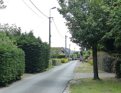 HOGE VERWACHTINGEN IN DE WEIDE EN DE VERBRANDEN BOS