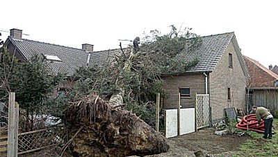 OMGEWAAIDE BOOM KWAM OP WONING TERECHT