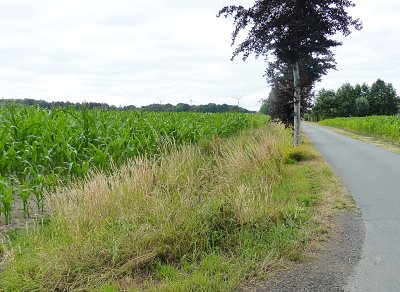 WAAR LIGT DE GRACHT OP MALECOTE?