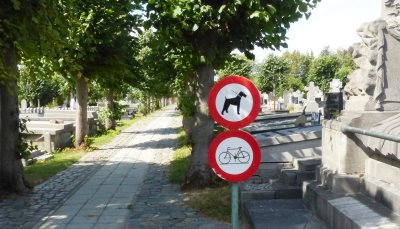 HONDEN (AAN DE LEIBAND) MOGEN WEL OP HET KERKHOF