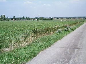 De Hollebeekstraat