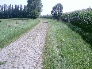 De prachtige Hunselodreef