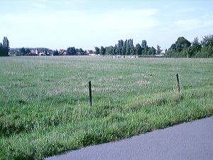 Uitzicht op Balgerhoeke