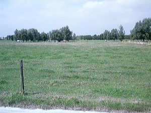 Uitzicht op Maldegem